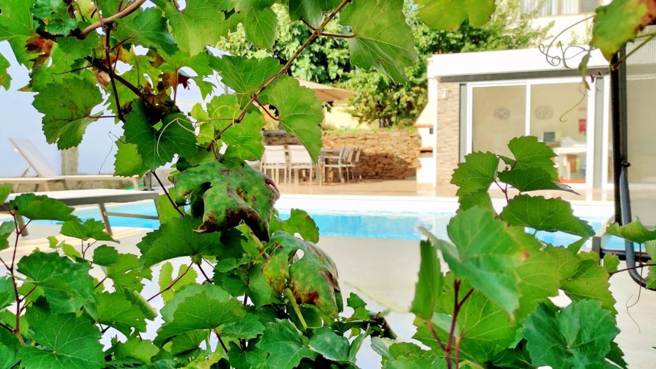 Villa D'Uvale Douro Alijo Exterior photo